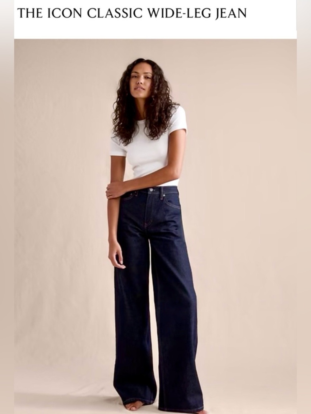 Banana Republic High Rise Rigid Wide Leg in a Dark Rinse